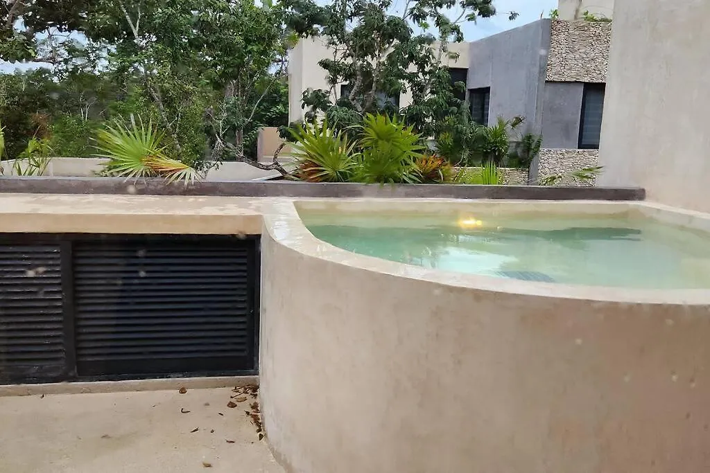 Penthouse Con Terraza Y Pileta Daire Tulum 0*,  Meksika